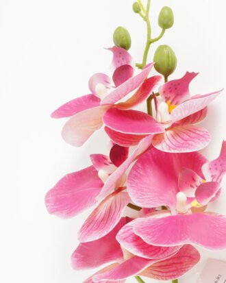 Artificial Flower 15*67cm Phalaenopsis *5 single stem GS-64923006 Single Flowers YeahFlower is one of Chinese leading OEM manufacturers and exporters , supplying the silk flowers, wholesale artificial trees