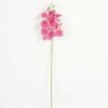 Artificial Flower Phalaenopsis 5 single stem GS-64923006_3 Artificial Flower 15*67cm Phalaenopsis *5 single stem GS-64923006 Single Flowers YeahFlower is one of Chinese leading OEM manufacturers and exporters , supplying the silk flowers, wholesale artificial trees