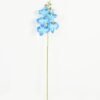 Artificial Flower Phalaenopsis 5 single stem GS-64923006_5 Artificial Flower 15*67cm Phalaenopsis *5 single stem GS-64923006 Single Flowers YeahFlower is one of Chinese leading OEM manufacturers and exporters , supplying the silk flowers, wholesale artificial trees