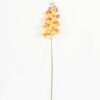 Artificial Flower Phalaenopsis 8 single stem GS-64923007-O1_1 Artificial Flower 19*93cm Phalaenopsis *8 single stem GS-64923007-O1 Single Flowers YeahFlower is one of Chinese leading OEM manufacturers and exporters , supplying the silk flowers, wholesale artificial trees