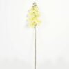 Artificial Flower Phalaenopsis 8 single stem GS-64923007-O1_2 Artificial Flower 19*93cm Phalaenopsis *8 single stem GS-64923007-O1 Single Flowers YeahFlower is one of Chinese leading OEM manufacturers and exporters , supplying the silk flowers, wholesale artificial trees