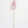 Artificial Flower Phalaenopsis 8 single stem GS-64923007-P1_1 Artificial Flower 19*93cm Phalaenopsis *8 single stem GS-64923007-P1 Single Flowers YeahFlower is one of Chinese leading OEM manufacturers and exporters , supplying the silk flowers, wholesale artificial trees