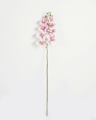 Artificial Flower 19*93cm Phalaenopsis *8 single stem GS-64923007-P1 Single Flowers YeahFlower is one of Chinese leading OEM manufacturers and exporters , supplying the silk flowers, wholesale artificial trees Artificial Flower 19*93cm Phalaenopsis *8 single stem GS-64923007-P1 Single Flowers YeahFlower is one of Chinese leading OEM manufacturers and exporters , supplying the silk flowers, wholesale artificial trees