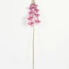 Artificial Flower Phalaenopsis 8 single stem GS-64923007-P1_2 Artificial Flower 19*93cm Phalaenopsis *8 single stem GS-64923007-P1 Single Flowers YeahFlower is one of Chinese leading OEM manufacturers and exporters , supplying the silk flowers, wholesale artificial trees