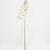 Artificial Flower Phalaenopsis 8 single stem GS-64923007-W1_5 Artificial Flower 19*93cm Phalaenopsis *8 single stem GS-64923007-W1 Single Flowers YeahFlower is one of Chinese leading OEM manufacturers and exporters , supplying the silk flowers, wholesale artificial trees