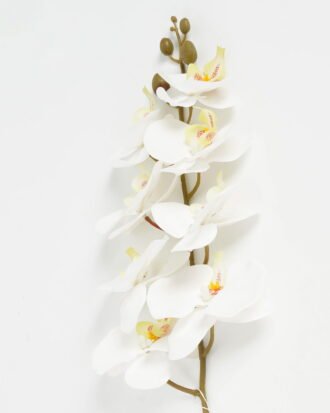 Artificial Flower 19*93cm Phalaenopsis *8 single stem GS-64923007-W1 Single Flowers YeahFlower is one of Chinese leading OEM manufacturers and exporters , supplying the silk flowers, wholesale artificial trees Artificial Flower 19*93cm Phalaenopsis *8 single stem GS-64923007-W1 Single Flowers YeahFlower is one of Chinese leading OEM manufacturers and exporters , supplying the silk flowers, wholesale artificial trees