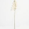 Artificial Flower Phalaenopsis 8 single stem GS-64923007-W1_7 Artificial Flower 19*93cm Phalaenopsis *8 single stem GS-64923007-W1 Single Flowers YeahFlower is one of Chinese leading OEM manufacturers and exporters , supplying the silk flowers, wholesale artificial trees