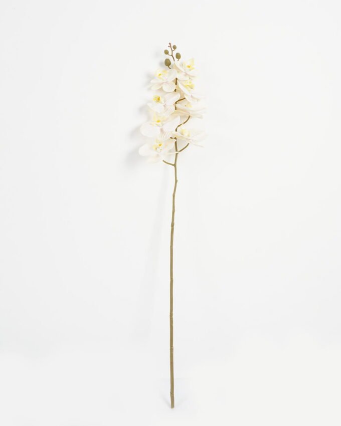 Artificial Flower Phalaenopsis 8 single stem GS-64923007-W1_7 Artificial Flower 19*93cm Phalaenopsis *8 single stem GS-64923007-W1 Single Flowers YeahFlower is one of Chinese leading OEM manufacturers and exporters , supplying the silk flowers, wholesale artificial trees