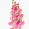 Artificial Flower 19*93cm Phalaenopsis *8 single stem GS-64923007 Single Flowers YeahFlower is one of Chinese leading OEM manufacturers and exporters , supplying the silk flowers, wholesale artificial trees