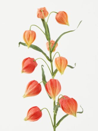 Artificial Flower 9*9*89cm Peach blossom single stem GS-53623012-W1 Single Flowers 3,000+ sqm showroom with thousands of artificial flowers, plants & trees ready for global sourcing.