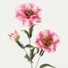 Artificial Flower 15*15*49cm Poppy single stem GS-128J23023-P1 Single Flowers YeahFlower is one of Chinese leading OEM manufacturers and exporters , supplying the silk flowers, wholesale artificial trees