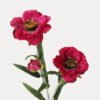 Artificial Flower 15*15*49cm Poppy single stem GS-128J23023-R1 Single Flowers YeahFlower is one of Chinese leading OEM manufacturers and exporters , supplying the silk flowers, wholesale artificial trees