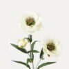 Artificial Flower 15*15*49cm Poppy single stem GS-128J23023-W1 Single Flowers YeahFlower is one of Chinese leading OEM manufacturers and exporters , supplying the silk flowers, wholesale artificial trees