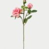 Artificial Flower ROSE 7 GS-00523005-P1 Artificial Flower 20*20*49cm ROSE * 7 GS-00523005-P1 Single Flowers YeahFlower is one of Chinese leading OEM manufacturers and exporters , supplying the silk flowers, wholesale artificial trees
