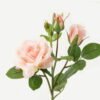 Artificial Flower 20*20*49cm  ROSE * 7 GS-00523005-P2 Single Flowers YeahFlower is one of Chinese leading OEM manufacturers and exporters , supplying the silk flowers, wholesale artificial trees