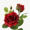 Artificial Flower ROSE 7 GS-00523005-R1_8 Artificial Flower 20*20*49cm ROSE * 7 GS-00523005-R1 Single Flowers YeahFlower is one of Chinese leading OEM manufacturers and exporters , supplying the silk flowers, wholesale artificial trees