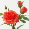 Artificial Flower 20*20*49cm  ROSE * 7 GS-00523005-R2 Single Flowers YeahFlower is one of Chinese leading OEM manufacturers and exporters , supplying the silk flowers, wholesale artificial trees