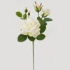 Artificial Flower ROSE 7 GS-00523005-W1 Artificial Flower 20*20*49cm ROSE * 7 GS-00523005-W1 Single Flowers YeahFlower is one of Chinese leading OEM manufacturers and exporters , supplying the silk flowers, wholesale artificial trees