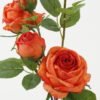 Artificial Flower Rose 5 GS-00523009-R2_7 Artificial Flower 25*25*63cm Rose * 5 GS-00523009-R2 Single Flowers YeahFlower is one of Chinese leading OEM manufacturers and exporters , supplying the silk flowers, wholesale artificial trees