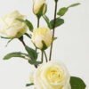 Artificial Flower Rose 5 GS-00523009-W1_2 Artificial Flower 25*25*63cm Rose * 5 GS-00523009-W1 Single Flowers YeahFlower is one of Chinese leading OEM manufacturers and exporters , supplying the silk flowers, wholesale artificial trees
