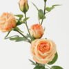 Artificial Flower Rose 5 GS-00523009_3 Artificial Flower 25*25*63cm Rose * 5 GS-00523009 Single Flowers YeahFlower is one of Chinese leading OEM manufacturers and exporters , supplying the silk flowers, wholesale artificial trees