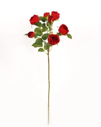 Artificial Flower 21*21*68cm Rose *7 single stem GS-53923001-R1 Single Flowers YeahFlower is one of Chinese leading OEM manufacturers and exporters , supplying the silk flowers, wholesale artificial trees Artificial Flower 21*21*68cm Rose *7 single stem GS-53923001-R1 Single Flowers YeahFlower is one of Chinese leading OEM manufacturers and exporters , supplying the silk flowers, wholesale artificial trees
