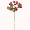 Artificial Flower 21*21*68cm Rose *7 single stem GS-53923001-R1 Single Flowers YeahFlower is one of Chinese leading OEM manufacturers and exporters , supplying the silk flowers, wholesale artificial trees