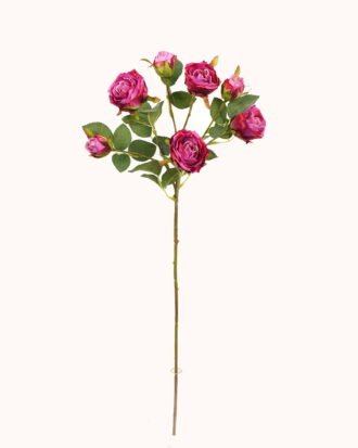 Artificial Flower 21*21*68cm Rose *7 single stem GS-53923001-R1 Single Flowers YeahFlower is one of Chinese leading OEM manufacturers and exporters , supplying the silk flowers, wholesale artificial trees Artificial Flower 21*21*68cm Rose *7 single stem GS-53923001-R1 Single Flowers YeahFlower is one of Chinese leading OEM manufacturers and exporters , supplying the silk flowers, wholesale artificial trees