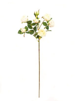 Artificial Flower 21*21*68cm Rose *7 single stem GS-53923001-W1 Single Flowers YeahFlower is one of Chinese leading OEM manufacturers and exporters , supplying the silk flowers, wholesale artificial trees Artificial Flower 21*21*68cm Rose *7 single stem GS-53923001-W1 Single Flowers YeahFlower is one of Chinese leading OEM manufacturers and exporters , supplying the silk flowers, wholesale artificial trees