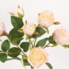 Artificial Flower Rose 7 single stem GS-53923001_2 Artificial Flower 21*21*68cm Rose *7 single stem GS-53923001 Single Flowers YeahFlower is one of Chinese leading OEM manufacturers and exporters , supplying the silk flowers, wholesale artificial trees