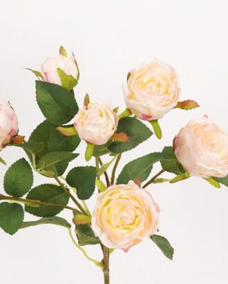 Artificial Flower 21*21*68cm Rose *7 single stem GS-53923001 Single Flowers YeahFlower is one of Chinese leading OEM manufacturers and exporters , supplying the silk flowers, wholesale artificial trees Artificial Flower 21*21*68cm Rose *7 single stem GS-53923001 Single Flowers YeahFlower is one of Chinese leading OEM manufacturers and exporters , supplying the silk flowers, wholesale artificial trees