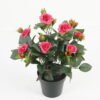 Artificial Flower 25*25*32cm Rose in PP pot GS-03323014-R1 Potted Flowers&Plants YeahFlower is one of Chinese leading OEM manufacturers and exporters , supplying the silk flowers, wholesale artificial trees
