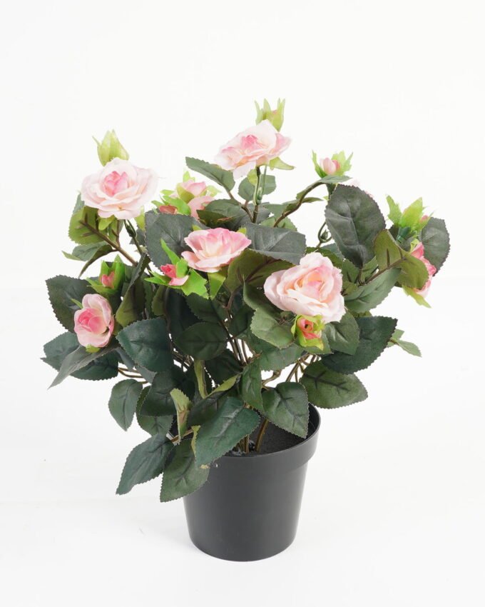 Artificial Flower 25*25*32cm Rose in PP pot GS-03323014-W1 Potted Flowers&Plants YeahFlower is one of Chinese leading OEM manufacturers and exporters , supplying the silk flowers, wholesale artificial trees