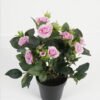 Artificial Flower Rose in PP pot GS-03323014-Y1_2 Artificial Flower 25*25*32cm Rose in PP pot GS-03323014-Y1 Potted Flowers&Plants YeahFlower is one of Chinese leading OEM manufacturers and exporters , supplying the silk flowers, wholesale artificial trees