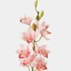 Artificial Flower Single large flower whelan GS-00523002-P1_4 Artificial Flower 14*14*75cm Single large flower whelan GS-00523002-P1 Single Flowers YeahFlower is one of Chinese leading OEM manufacturers and exporters , supplying the silk flowers, wholesale artificial trees