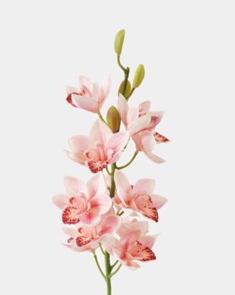 Artificial Flower 14*14*75cm Single large flower whelan GS-00523002-P1 Single Flowers YeahFlower is one of Chinese leading OEM manufacturers and exporters , supplying the silk flowers, wholesale artificial trees