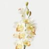 Artificial Flower Single large flower whelan GS-00523002-W1_5 Artificial Flower 14*14*75cm Single large flower whelan GS-00523002-W1 Single Flowers YeahFlower is one of Chinese leading OEM manufacturers and exporters , supplying the silk flowers, wholesale artificial trees
