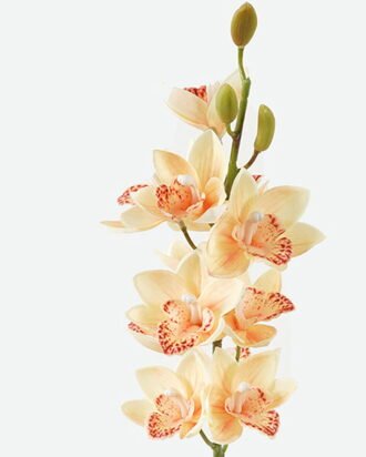 Artificial Flower 14*14*75cm Single large flower whelan GS-00523002 Single Flowers YeahFlower is one of Chinese leading OEM manufacturers and exporters , supplying the silk flowers, wholesale artificial trees