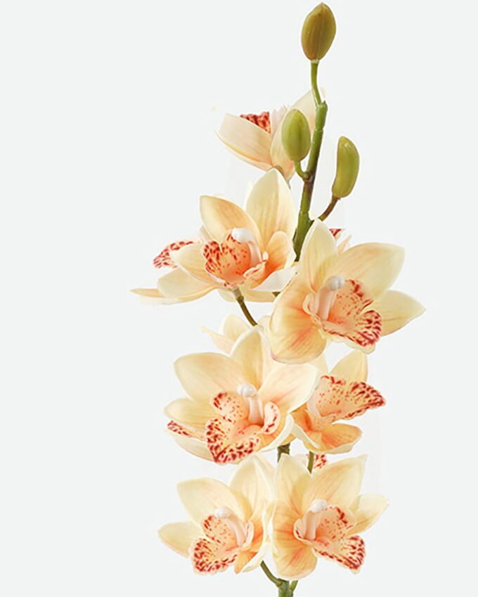 Artificial Flower Single large flower whelan GS-00523002_2 Artificial Flower 14*14*75cm Single large flower whelan GS-00523002 Single Flowers YeahFlower is one of Chinese leading OEM manufacturers and exporters , supplying the silk flowers, wholesale artificial trees