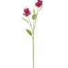 Artificial Flower Snapdragons 3 single stem GS-53623050-R2_1 Artificial Flower 18*18*72cm Snapdragons *3 single stem GS-53623050-R2 Single Flowers YeahFlower is one of Chinese leading OEM manufacturers and exporters , supplying the silk flowers, wholesale artificial trees