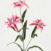 Artificial Flower 12*12*48cm Tuberose single stem GS-128J23022-P1 Single Flowers YeahFlower is one of Chinese leading OEM manufacturers and exporters , supplying the silk flowers, wholesale artificial trees