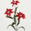 Artificial Flower Tuberose single stem GS-128J23022_2 Artificial Flower 12*12*48cm Tuberose single stem GS-128J23022 Single Flowers YeahFlower is one of Chinese leading OEM manufacturers and exporters , supplying the silk flowers, wholesale artificial trees