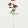 Artificial Flower Tuberose single stem GS-128J23022_3 Artificial Flower 12*12*48cm Tuberose single stem GS-128J23022 Single Flowers YeahFlower is one of Chinese leading OEM manufacturers and exporters , supplying the silk flowers, wholesale artificial trees