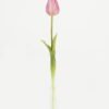 Artificial Flower 5*5*46cm Tulip single stem GS-41523023-P2 Single Flowers YeahFlower is one of Chinese leading OEM manufacturers and exporters , supplying the silk flowers, wholesale artificial trees