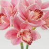 Artificial Flower Whelan 3 GS-00523010-P1_5 Artificial Flower 18*18*35cm Whelan * 3 GS-00523010-P1 Bouquet YeahFlower is one of Chinese leading OEM manufacturers and exporters , supplying the silk flowers, wholesale artificial trees