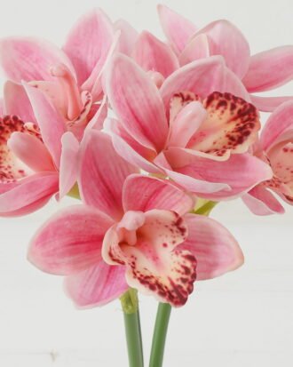 Artificial Flower 18*18*35cm Whelan * 3 GS-00523010-P1 Bouquet YeahFlower is one of Chinese leading OEM manufacturers and exporters , supplying the silk flowers, wholesale artificial trees