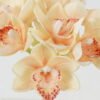 Artificial Flower Whelan 3 GS-00523010_2 Artificial Flower 18*18*35cm Whelan * 3 GS-00523010 Bouquet YeahFlower is one of Chinese leading OEM manufacturers and exporters , supplying the silk flowers, wholesale artificial trees