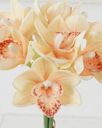 Artificial Flower 18*18*35cm Whelan * 3 GS-00523010 Bouquet YeahFlower is one of Chinese leading OEM manufacturers and exporters , supplying the silk flowers, wholesale artificial trees