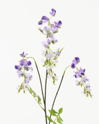 Artificial Flower 20*20*80cm Wisteria *3 single stem GS-53623025-Z1 Single Flowers YeahFlower is one of Chinese leading OEM manufacturers and exporters , supplying the silk flowers, wholesale artificial trees Artificial Flower 20*20*80cm Wisteria *3 single stem GS-53623025-Z1 Single Flowers YeahFlower is one of Chinese leading OEM manufacturers and exporters , supplying the silk flowers, wholesale artificial trees