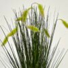 Artificial Grass Timothy grass 8 in PP pot GS-61923010-G1_4 Artificial Grass 36*36*56cm Timothy grass *8 in PP pot GS-61923010-G1 Grass&PLANT YeahFlower is one of Chinese leading OEM manufacturers and exporters , supplying the silk flowers, wholesale artificial trees